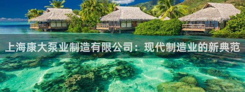 彩神旗下有哪些平台可以看:上海康大泵业制造有限公司:现代制造 彩神旗下有哪些平台可以看:上海康大泵业制造有限公司:现代制造