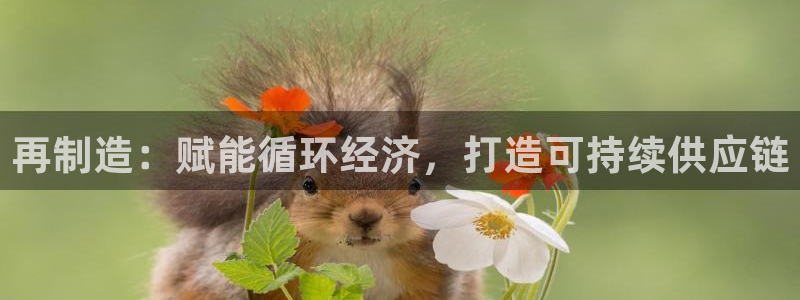彩神ll能赚钱吗:再制造:赋能循环经济,打造可持续供应链 彩神ll能赚钱吗:再制造:赋能循环经济,打造可持续供应链